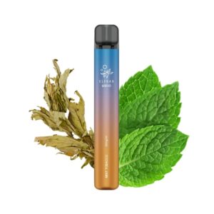 Tigara unica folosinta ELFBAR V2 600 PUFF – Mint Tobacco 20mg